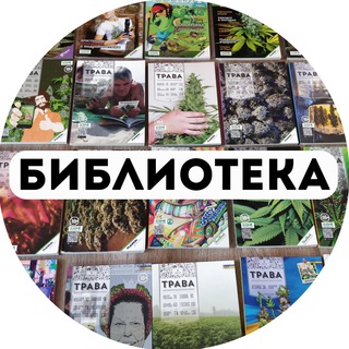 Kraken рабочее зеркало