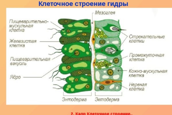 Кракен вход на сайт