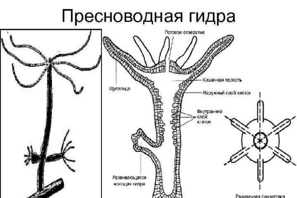Кракен сайт ссылка